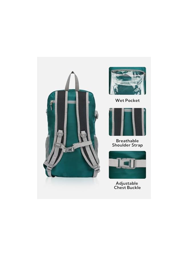 WATERFLY Lightweight Packable Hiking Backpack: 30L Foldable Travel Daypack Ultralight Camping Day Pack For Woman Man - Image 4