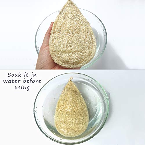 Miw Piw Natural Loofah Dish Sponge Pack 3 Vegetable Scrubber for Kitchen -100% Biodegradable Compostable Dishwashing Scouring Pad Zero Waste Plastic Free Eco Friendly Sustainable - Image 5