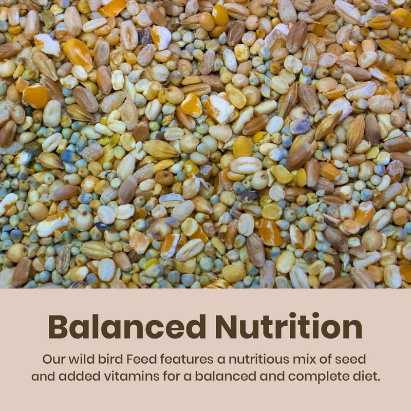 BRANDSFINITY Premium Bird Food For Wild Birds - Image 2