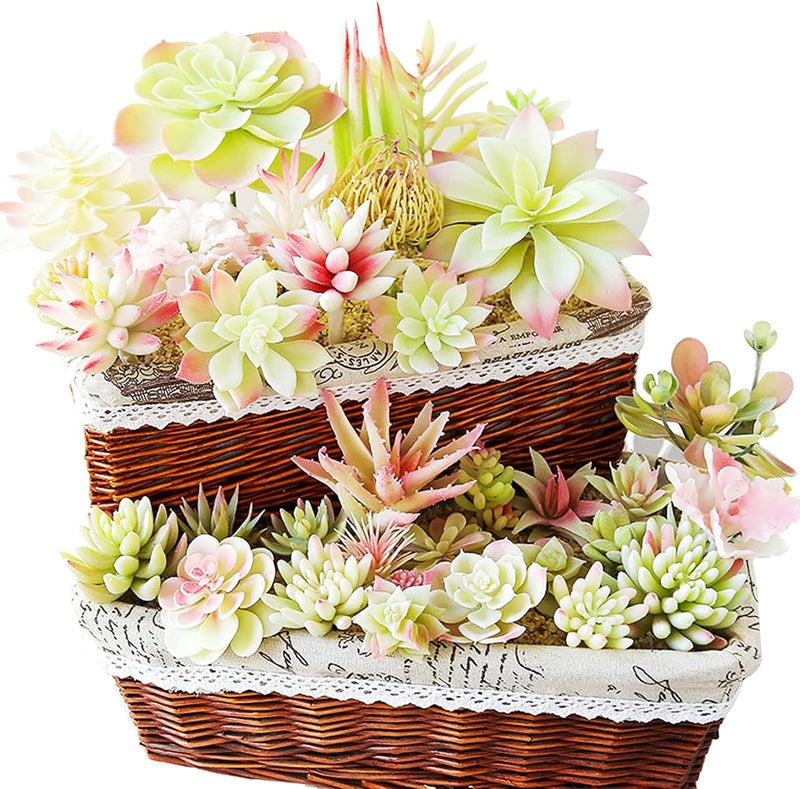 Cayway 20 PCS Artificial Succulents Picks Creamy White Artificial Succulent Plants, Fake Succulent Assortment in Flocked in Different Type for Indoor and Outdoor Home Decor Floral Arrangements - Image 5