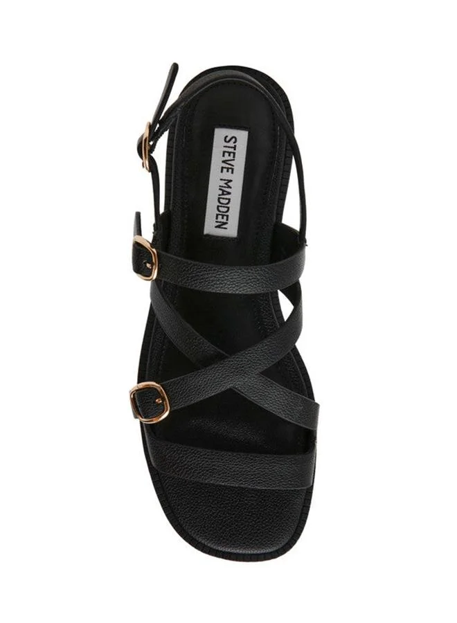 Steve Madden  Isela Black Women's Flat-Casual Sandals for Women | Best Price UAE