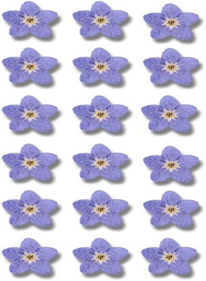 Jowxsx ٢٠ قطعة من زهور لا تنساني الزرقاء المجففة، زهور لا تنساني الطبيعية المجففة، منتجات ديكور منزلي للمطبخ والمنزل، ديكورات يمكنك صنعها بنفسك - Image 1