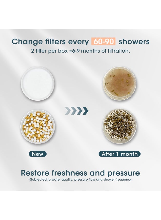 أداندو فلتر دش بديل من أداندو، قطعتان: KDF-55 وخرطوشة مزدوجة من كبريتات الكالسيوم - إزالة 99% من الكلور والحماية من المعادن الثقيلة - حماية مضادة للبكتيريا للبشرة والشعر - Image 2