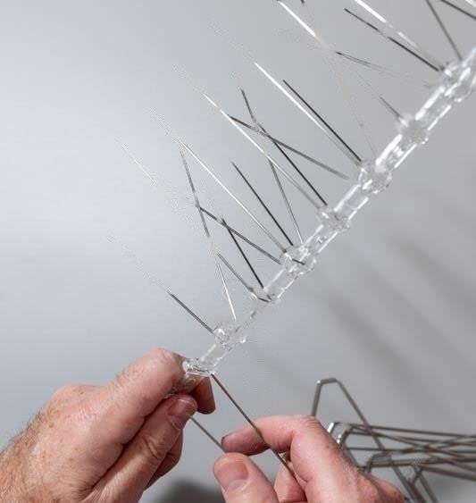 SPIKEZONE - Spikes for Bird & Pigeon Stainless Steel Spikes with Polycarbonate Base, Bird Spikes, Pigeon Control Spikes (40 Pcs Box) - Image 3
