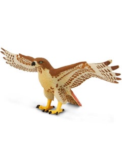 Red-Tailed Hawk Figurine - Detailed 5.75" Plastic Model Figure With Wingspan - Fun Educational Play Toy For Boys, Girls & Kids Ages 3+ - pzsku/Z4069D4939D0AB9D80981Z/45/_/1734347983/9b263018-ce4d-4362-a41c-423332735894