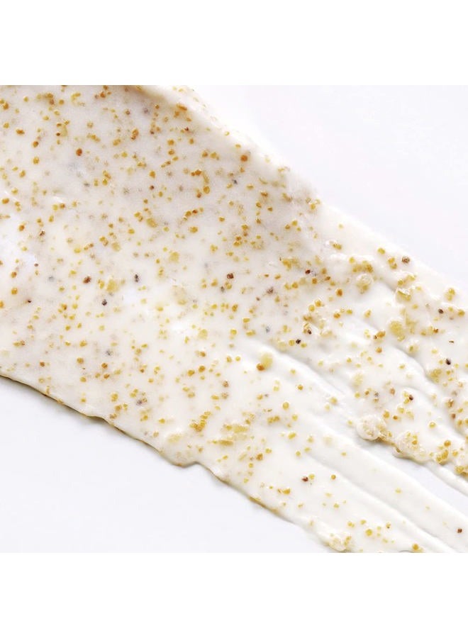 ST. Ives سكراب الوجه اللطيف من سانت آيفز بالمشمش 150 مل - Image 5