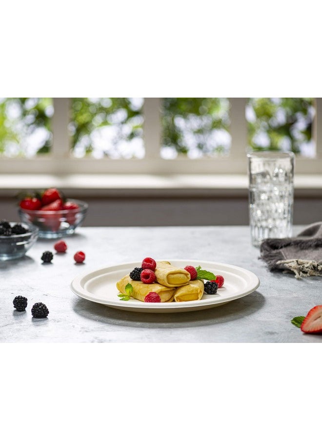 Comfy Package Comfy Package [10 Inch - 125 Pack Heavy-Duty White Paper Plates, 100% Compostable, Eco-Friendly - Biodegradable Disposable Plates, Sugarcane Paper Plates  - Image 3