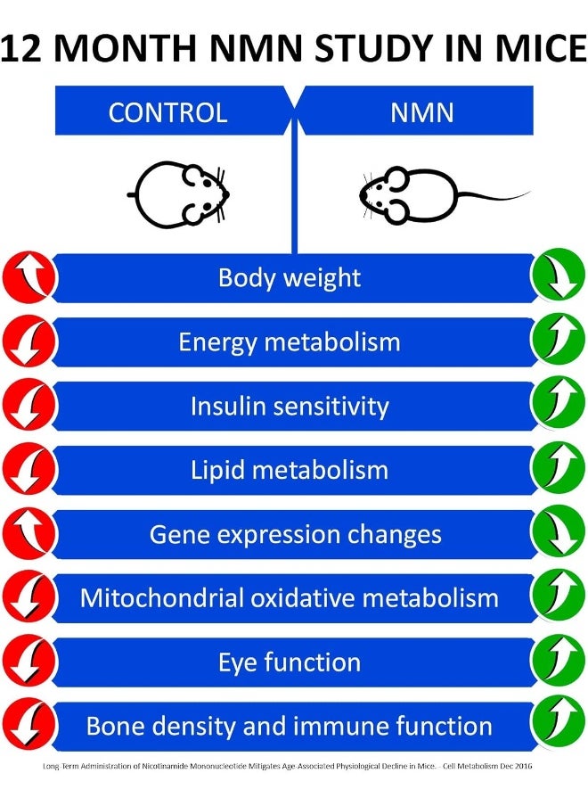MAAC10 Formulas MAAC10 Formulas M 1000mg Nutritional Supplement Capsule with NMN Nicotinamide Mononucleotide NAD+ Supplement  - Image 3