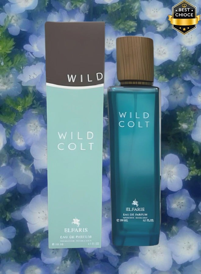 الفارس 10 قطع عطر وايلد كولت للرجال 200 مل - Image 2