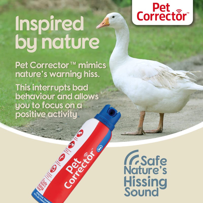 Company of Animals PET CORRECTOR Dog Trainer, 200ml. 2 Pack- Stops Barking, Jumping Up, Place Avoidance, Food Stealing, Dog Fights & Attacks. Help stop unwanted dog behaviour. Easy to use, safe, humane and effective. - Image 3