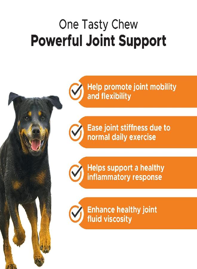 PetHonesty Senior Hemp Mobility - Hip & Joint Supplement for Senior Dogs - Hemp Oil & Powder, Glucosamine, Collagen, MSM, Green Lipped Mussel, Support Mobility, Helps with Occasional Discomfort (90) - Image 3