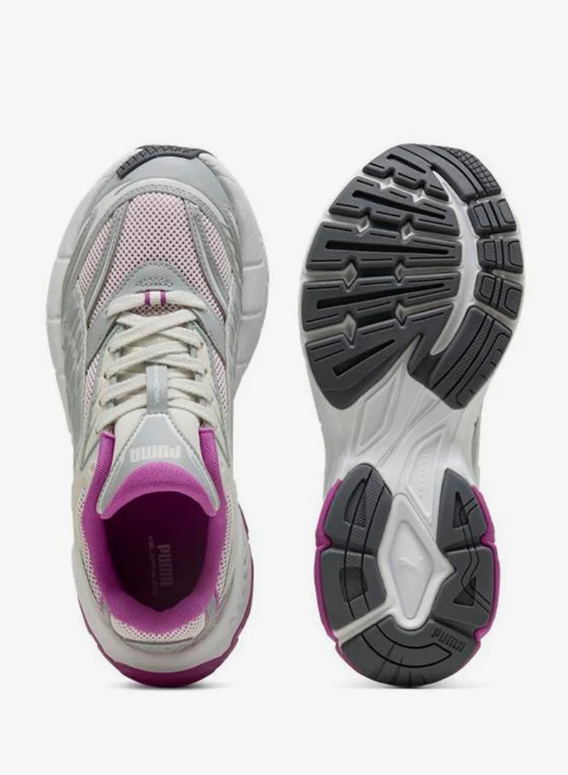 بوما فيلوفاسيس لونين