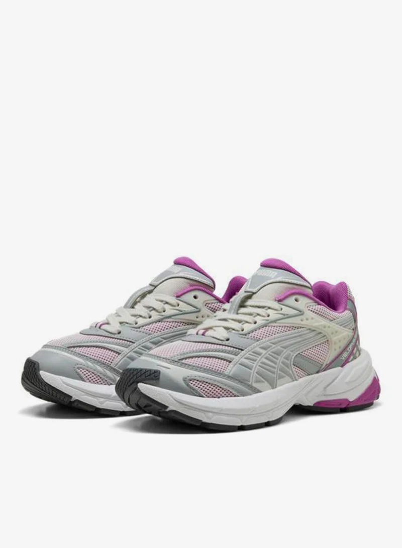 بوما فيلوفاسيس لونين