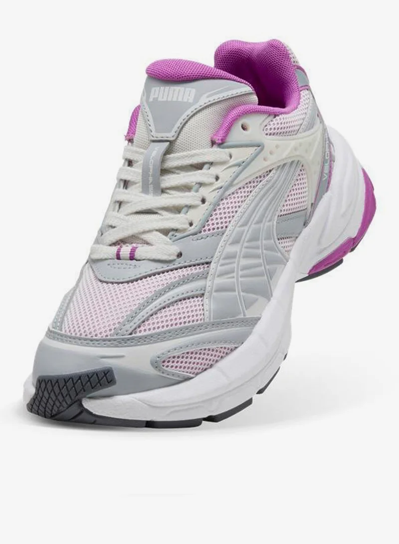 بوما فيلوفاسيس لونين