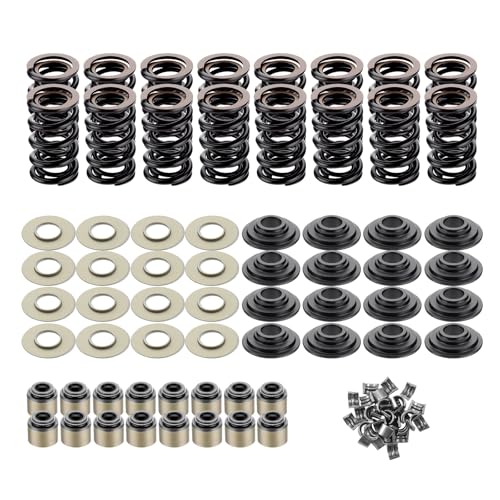 ISINFLASH LS 660 Dual Valve Spring Platinum Kit with Retainers Fit for 15 Degree LS Heads LS1 LS2 LS3 LS4 LS6 L76 L92 L99 LQ4 LQ9 L33 LSA 48L 53L 60L 62L SK001 Steel - Image 1