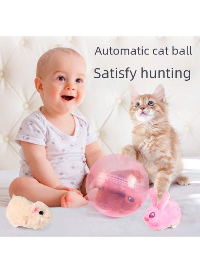 Hamster Rolling Ball Rabbit Push Ball Children's Spherical Pass Pet Toy Baby Crawling Electric Small Animal Rolling Ball-Specifications:Luminous-Hamster Ball-Color:Charger + Rechargeable Battery