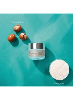Amway Artistry Renewing Reactivation Day Cream Spf 30 50Gm  - Image 3