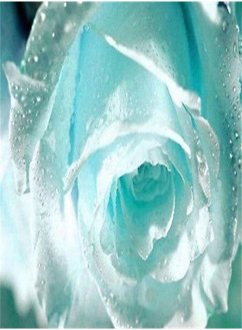 جي جوت 55 قطعة من بذور الورد الرومانسي الأزرق الفاتح، نباتات زينة منزلية للحديقة - Image 4