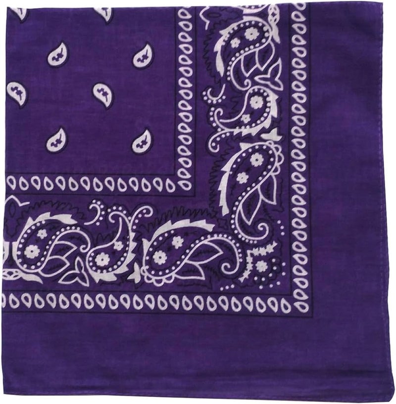 ComboCube 12 Pack(one Dozen) Multi-Purpose Cotton Paisley Cowboy Bandanas Headband for Men and Women - Image 1