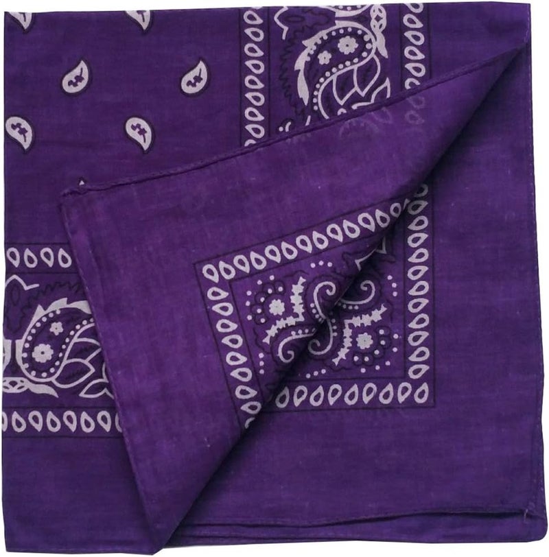 ComboCube 12 Pack(one Dozen) Multi-Purpose Cotton Paisley Cowboy Bandanas Headband for Men and Women - Image 2