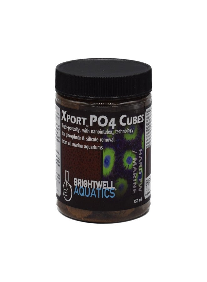 Brightwell Aquatics Xport PO4 Cubes - High-Porosity Cube Filter Media for Phosphate & Silicate Removal from All Ponds & Freshwater & Marine Aquariums, 250ML (XPCubeP250) - Image 1