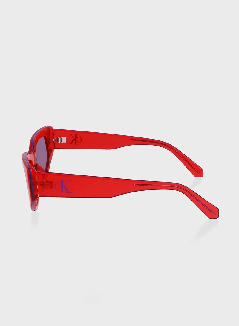 Calvin Klein Jeans Wayfarer Sunglasses