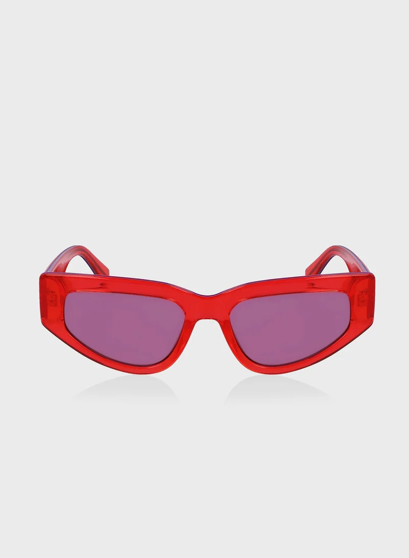 Calvin Klein Jeans Wayfarer Sunglasses