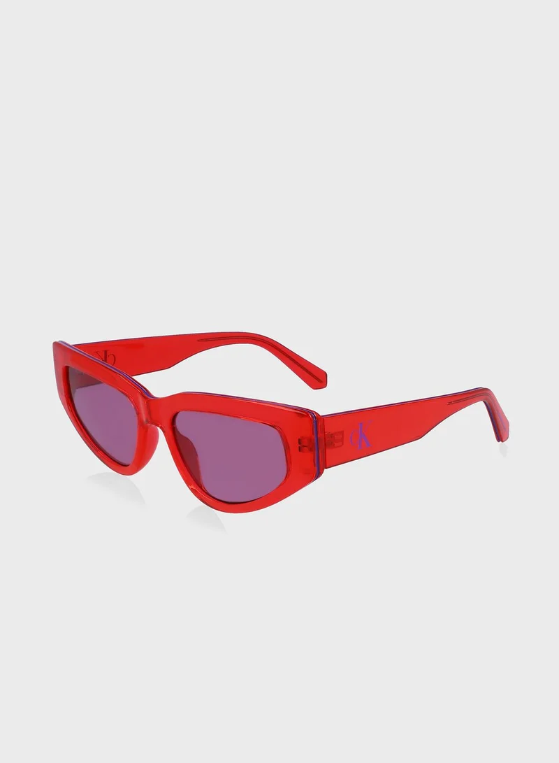 Calvin Klein Jeans Wayfarer Sunglasses