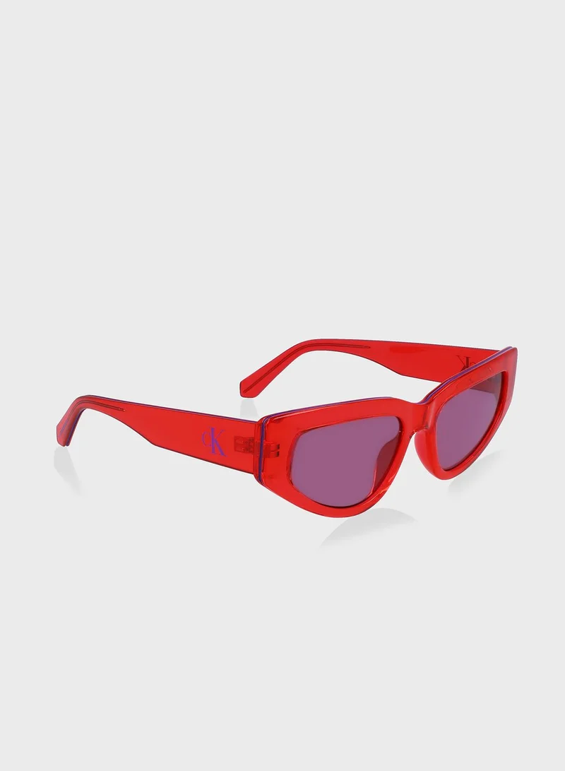 Calvin Klein Jeans Wayfarer Sunglasses