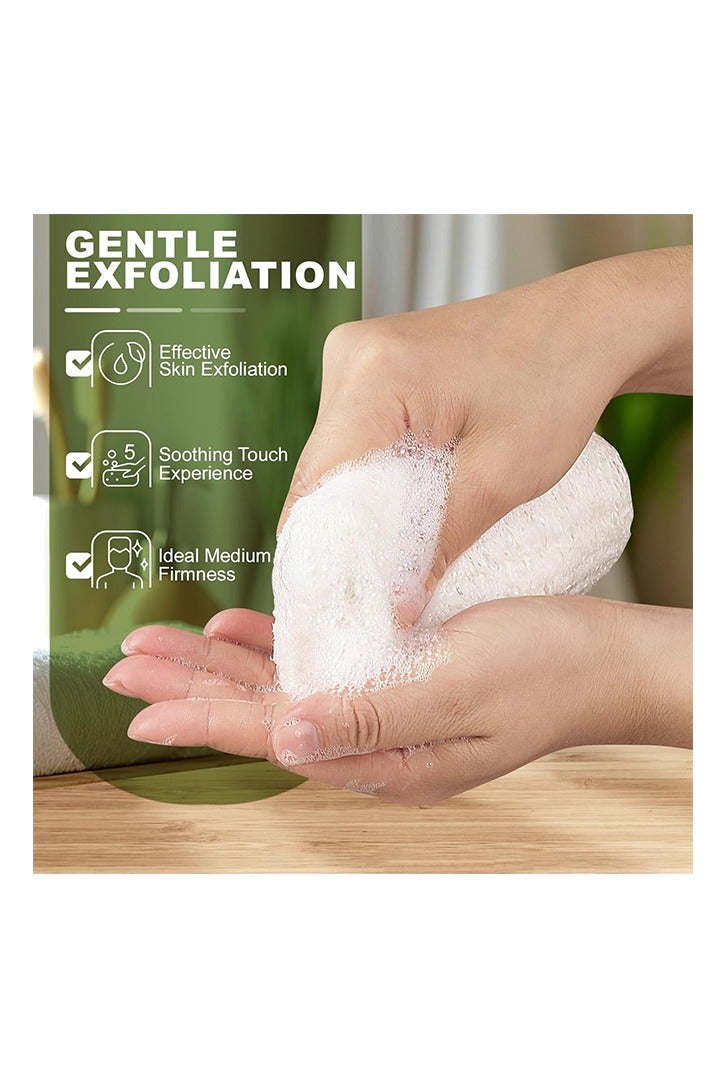 Natural Loofah Body Scrubber Sponge, Set of 3 Organic 5 Inch Luffa for Exfoliating & Smooth Skin Cleansing, Ideal for Men & Women, Spa & Shower Use - Image 3