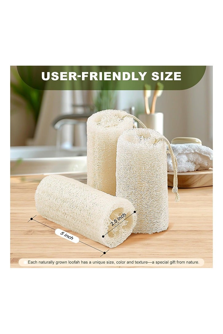 Natural Loofah Body Scrubber Sponge, Set of 3 Organic 5 Inch Luffa for Exfoliating & Smooth Skin Cleansing, Ideal for Men & Women, Spa & Shower Use - Image 4