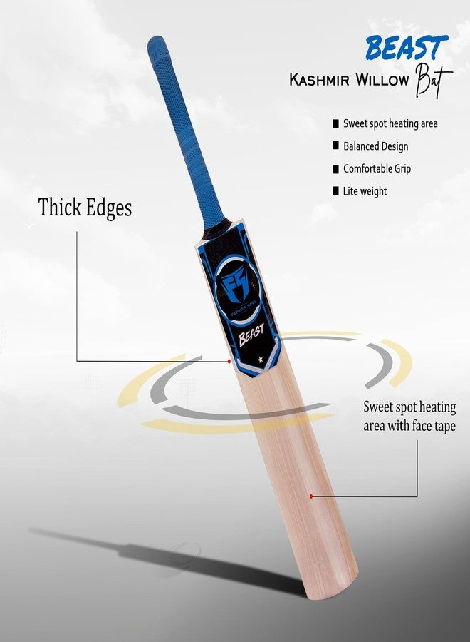 Fervor Spel FS Beast Blue Kashmir Willow Cricket Bat -Size SH | Professional Bat for Leather Ball | Shock Absorption Singapore Cane Handle | Cover Included - Image 4