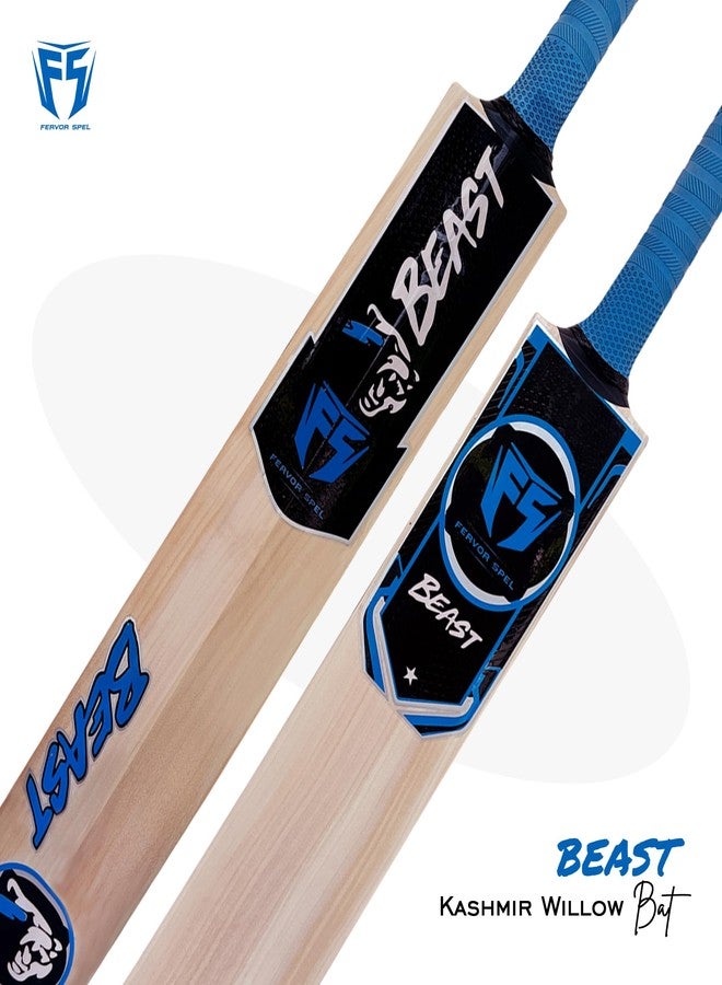 Fervor Spel FS Beast Blue Kashmir Willow Cricket Bat -Size SH | Professional Bat for Leather Ball | Shock Absorption Singapore Cane Handle | Cover Included - Image 2