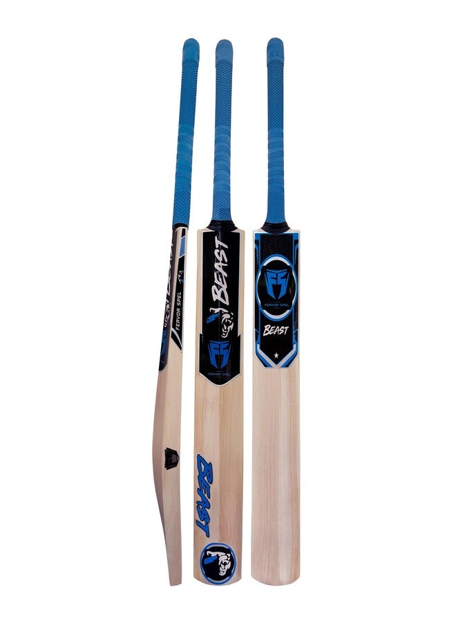 Fervor Spel FS Beast Blue Kashmir Willow Cricket Bat -Size SH | Professional Bat for Leather Ball | Shock Absorption Singapore Cane Handle | Cover Included - Image 1
