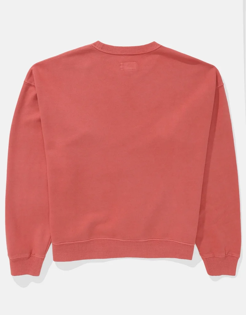 American Eagle AE Oversized Sweatshirt