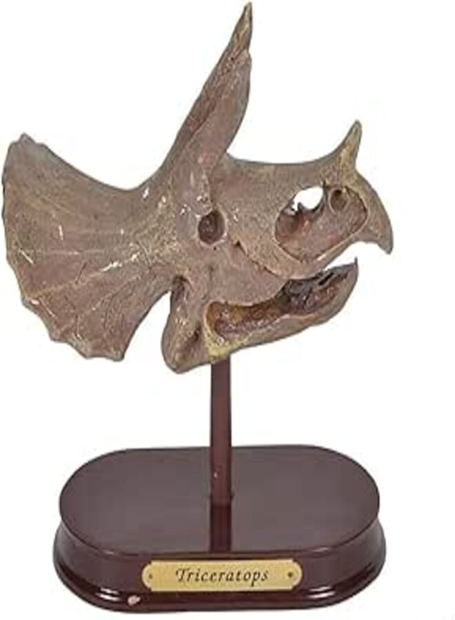 ArtCreativity Eduman Dinosaur Skull Excavation Kit, Triceratops D7068G-1, 6+