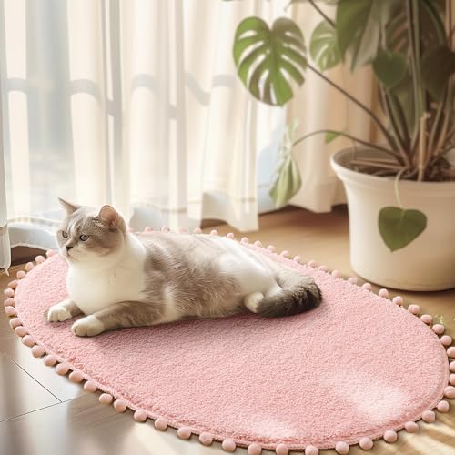 YIRDDEO Bath Mat Blush Pink Rug with Pom Oval Bathroom Rugs for Bedroom Non Slip Cute Boho Absorbent Mats Soft Plush Washable Rug (20x30 inches) - Image 3