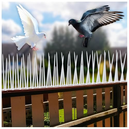 SpikeZone Bird Spikes for Balcony | Anti Pigeon Spikes for Window AC, Split AC & Ledges | Bird Control Spikes Polycarbonate | Anti Bird Spikes for Home & Office | Pack of 10 - Image 1