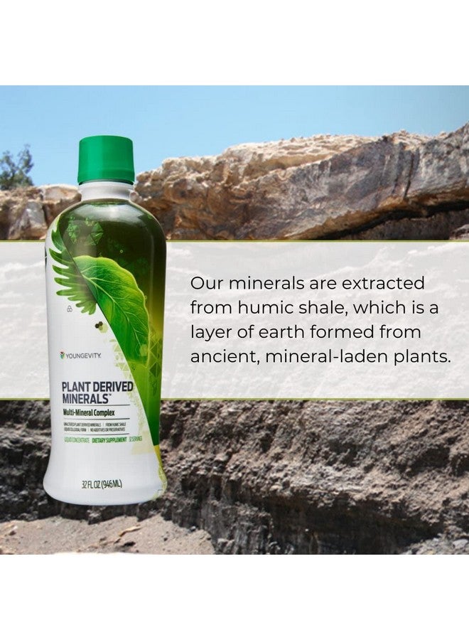 Youngevity Plant Derived Liquid Minerals - 77+ Natural Unaltered Trace Minerals - 19,000mg Plant Mineral Solids - Colloidal Form Humic Shale - (32 oz Pack of 2) - Image 3