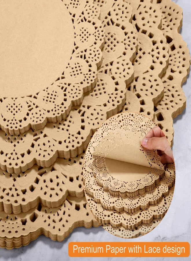 Aodaer 200 Pack Round Brown Lace Paper Doilies Disposable Decorative Paper Placemats Assorted Size 6.5, 8.5, 10.5, 12 inch Table Paper Pad Mats for Buffet Cake Food Party Wedding Tableware Decoration - Image 3