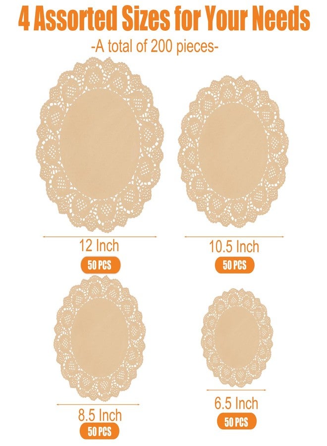 Aodaer 200 Pack Round Brown Lace Paper Doilies Disposable Decorative Paper Placemats Assorted Size 6.5, 8.5, 10.5, 12 inch Table Paper Pad Mats for Buffet Cake Food Party Wedding Tableware Decoration - Image 2