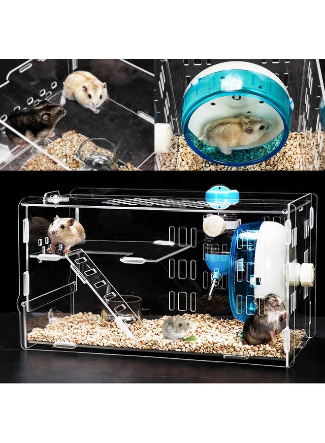 Kathson Dwarf Hamster Cage Transparent Hamsters Cages And Habitats Gerbils Acrylic Cage Cute Mini Pet Habitat With Accessories Exercise Wheel Water Bottle Food Bowl For Small Animal Blue - Image 2