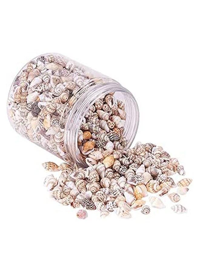 200g 2 Styles Tiny Ocean Beach Spiral Seashells  - Image 1
