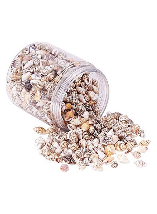 200g 2 Styles Tiny Ocean Beach Spiral Seashells  - Image 2
