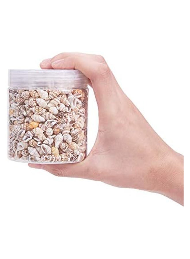 200g 2 Styles Tiny Ocean Beach Spiral Seashells  - Image 4