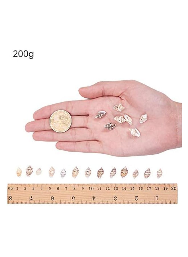 200g 2 Styles Tiny Ocean Beach Spiral Seashells  - Image 3