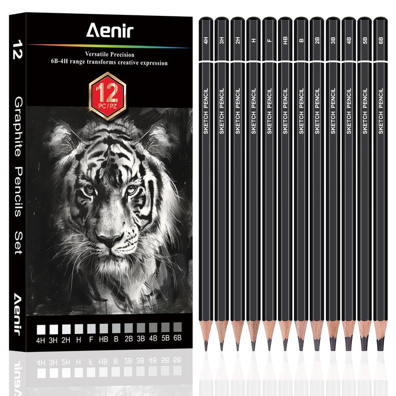 Aenir Sketch Pencils for Drawing Set of 12 Drawing Pencils for Sketching Medium 6B 4H Artist Graphite Pencils Sketch Set for Artists for Sketching Supplies Art Supplies
