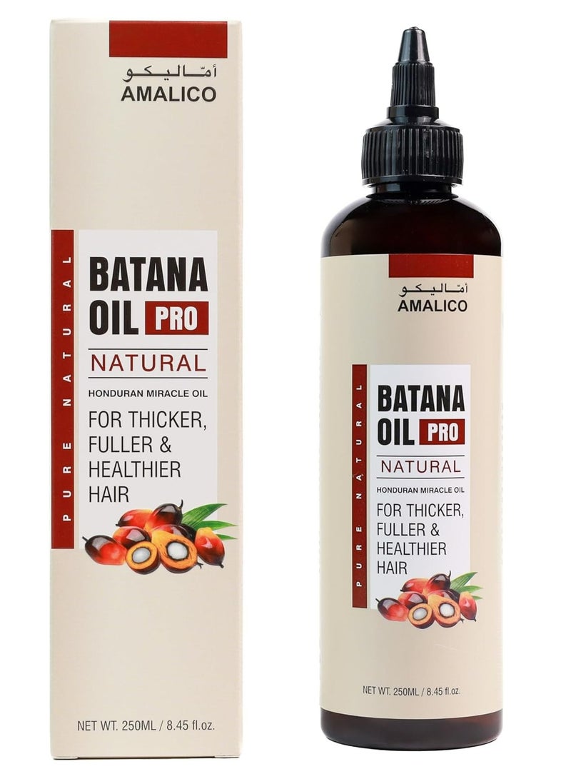 AMALICO Batana Oil Pro Natural, Honduran Miracle Oil, 250ml - Image 1
