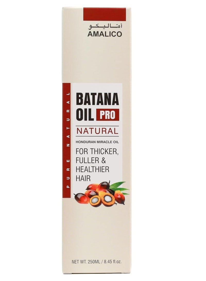 AMALICO Batana Oil Pro Natural, Honduran Miracle Oil, 250ml - Image 3