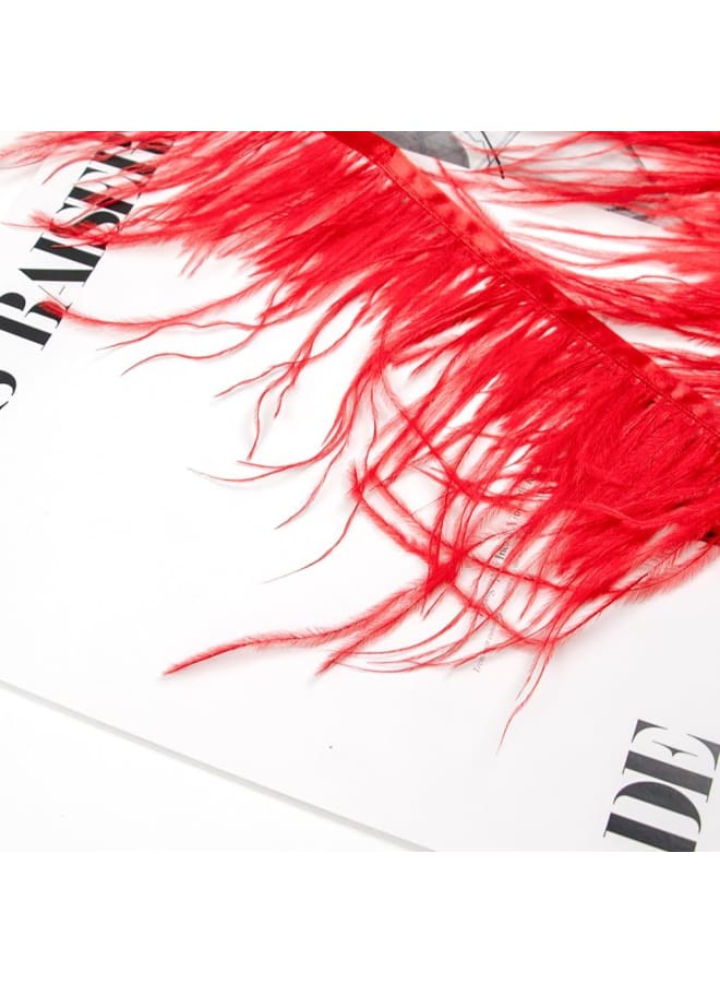 Natural Fluffy Ostrich Feather Trimming Fringe Ribbon for Fascinator Millinery Crafts Wedding Dress Accessories Clothing Sewing Costumes Decoration- of 2 Yards (10-15cm, red)  - Image 4